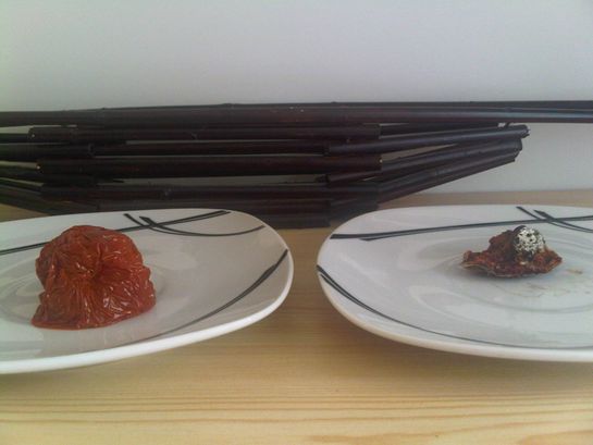 Photo de deux tomates après quelques semaines, une magnetisée et l'autre non